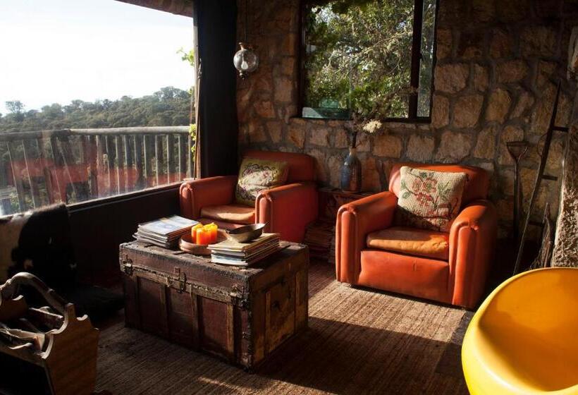 فندق صغير Posada Del Páramo   Rnsc Bosque De Niebla