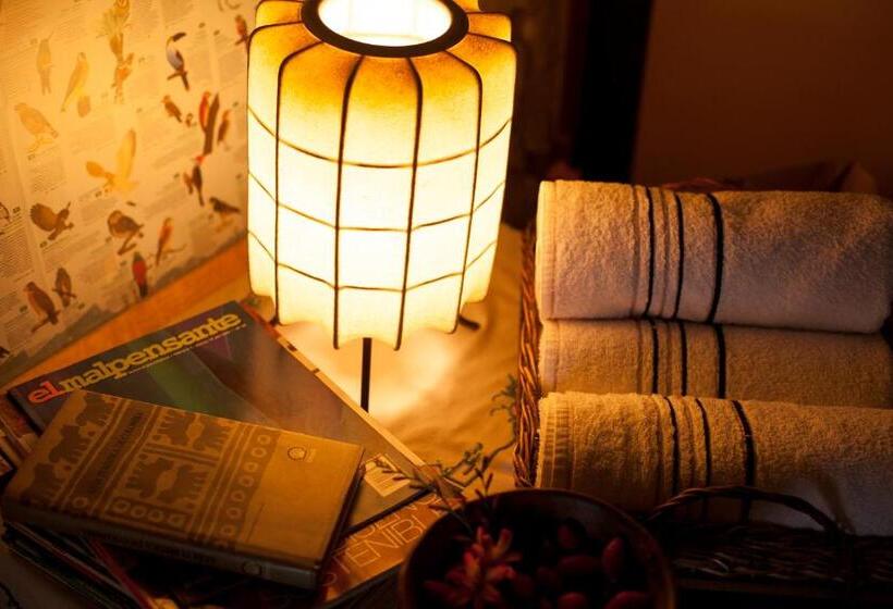 فندق صغير Posada Del Páramo   Rnsc Bosque De Niebla