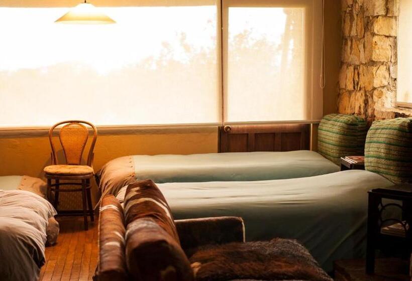 فندق صغير Posada Del Páramo   Rnsc Bosque De Niebla