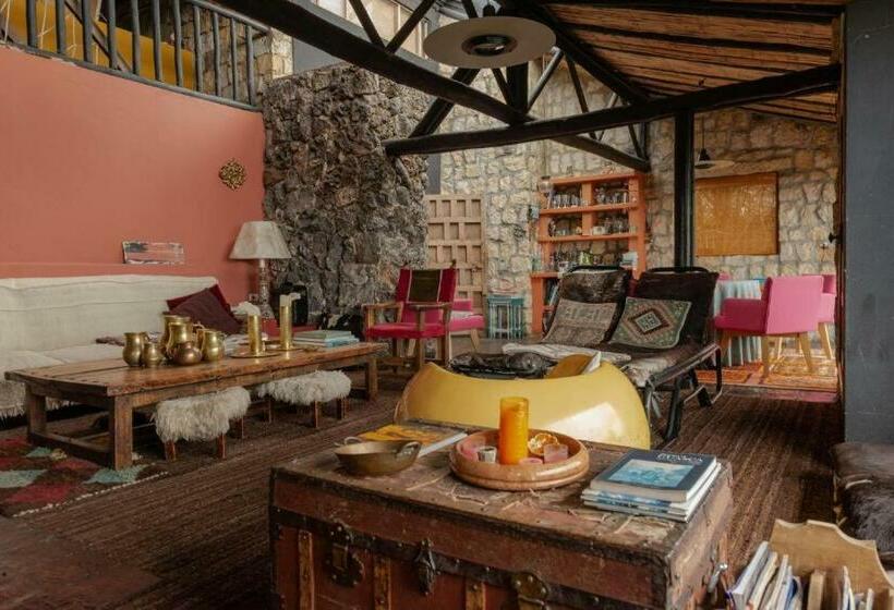 فندق صغير Posada Del Páramo   Rnsc Bosque De Niebla