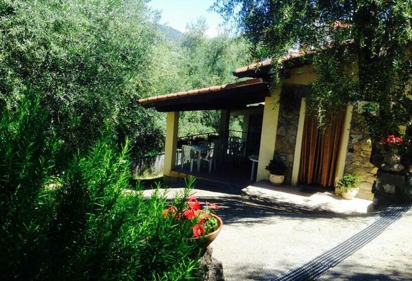 تختخواب و صبحانه Casa Vacanze Uliveto