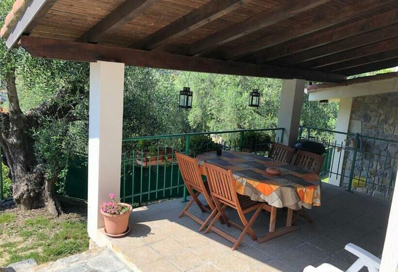 住宿加早餐  Casa Vacanze Uliveto