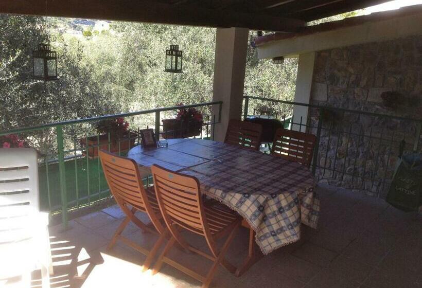 تختخواب و صبحانه Casa Vacanze Uliveto