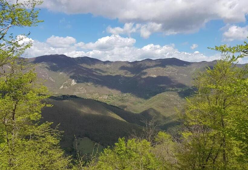 住宿加早餐  Alla Battuta