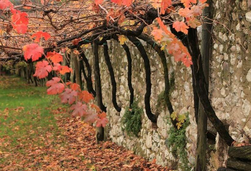 مبيت وإفطار Biker S Wine House