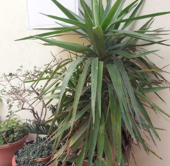 مبيت وإفطار Casa Corona