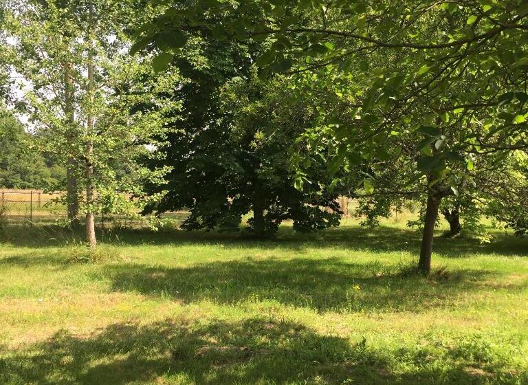 ベッドアンドブレックファースト Chambre D Hôtes