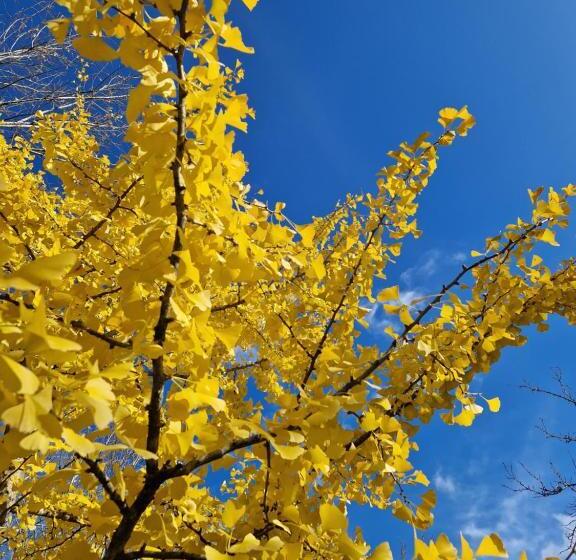 ベッドアンドブレックファースト Chambre D Hôtes