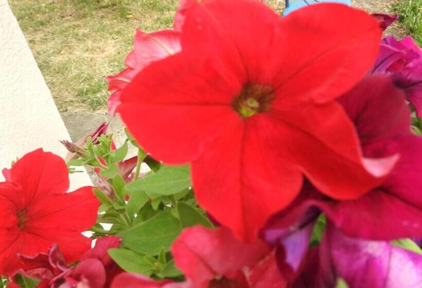 צימר Domaine De Laverchère