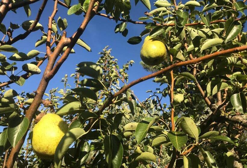 تختخواب و صبحانه Il Podere La Casina