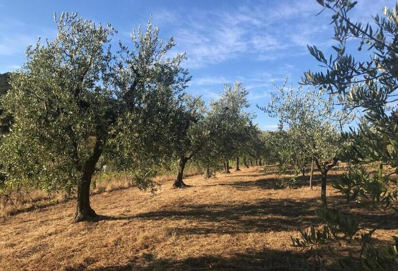 تختخواب و صبحانه Il Podere La Casina