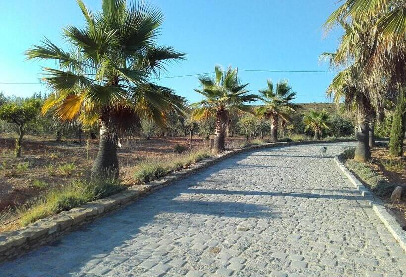 민박 La Bastide De L Oliveraie