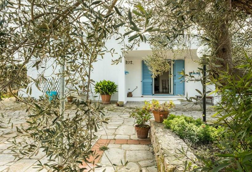 Bed and Breakfast Microborgopasca