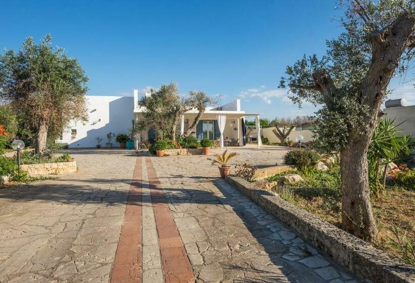 مبيت وإفطار Microborgopasca