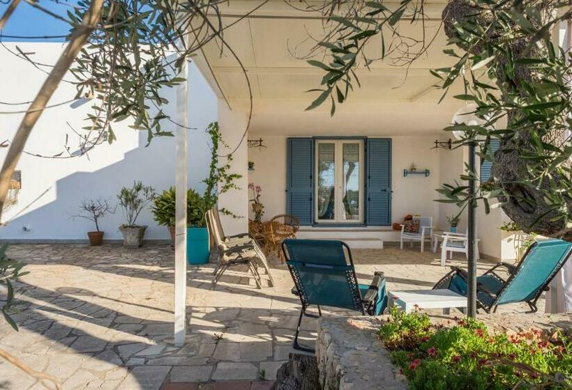 Bed and Breakfast Microborgopasca
