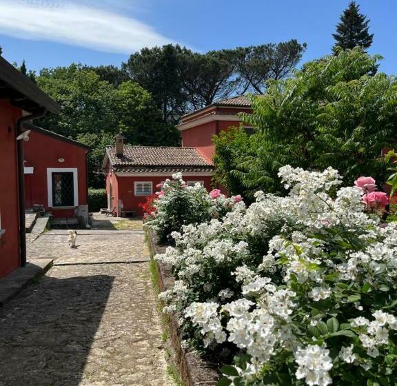 Bed and Breakfast Podere San Raffaele