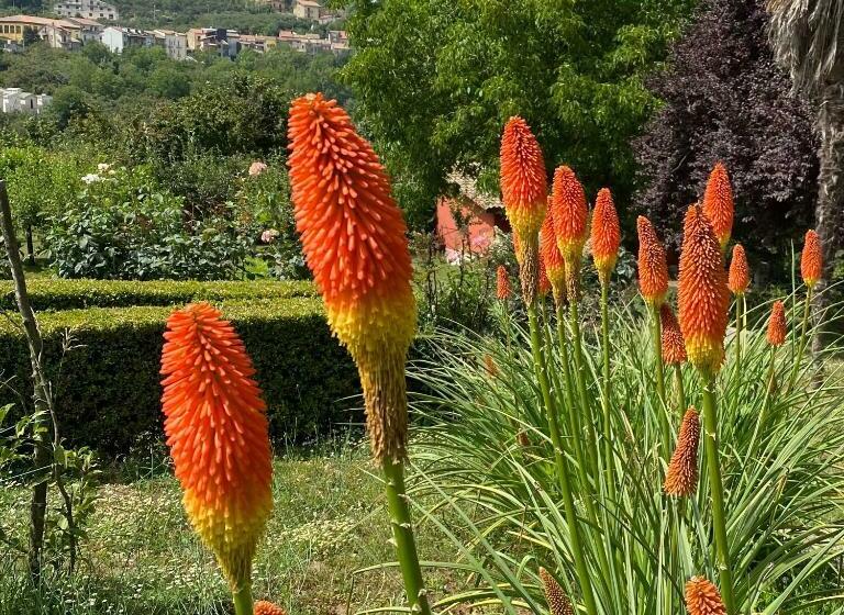 Bed and Breakfast Podere San Raffaele