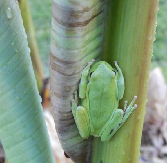 Bed and Breakfast Studio à Deux Au Blagour
