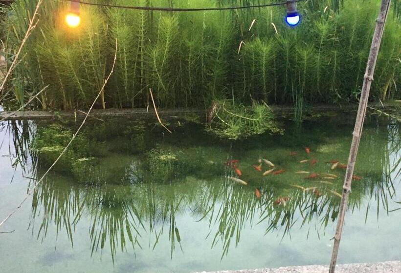 Bed and Breakfast Studio à Deux Au Blagour