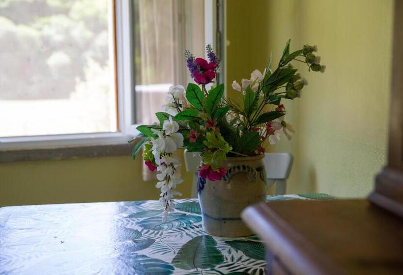 Bed and Breakfast Studio à Deux Au Blagour