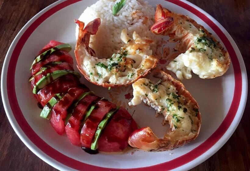 مبيت وإفطار Xcalak Caribe Lodge