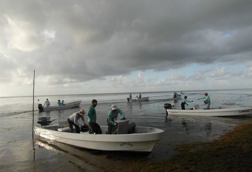 مبيت وإفطار Xcalak Caribe Lodge