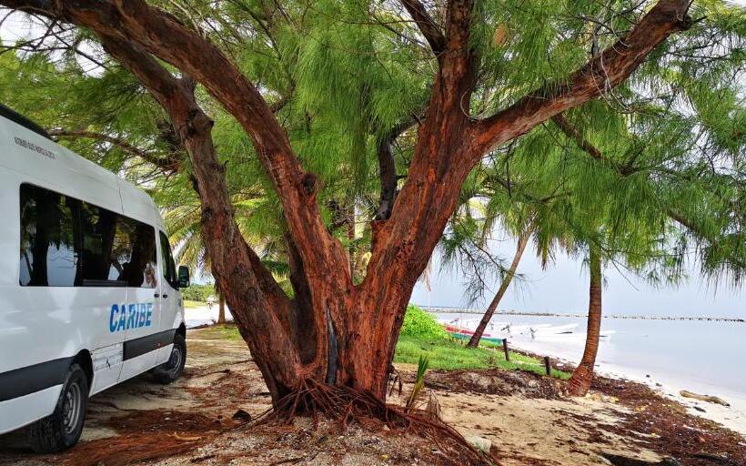 مبيت وإفطار Xcalak Caribe Lodge