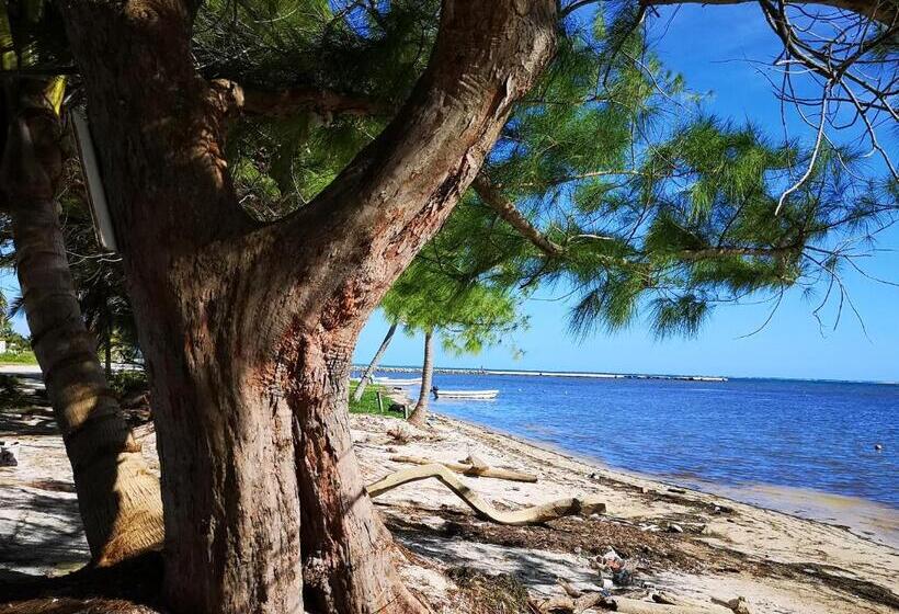 مبيت وإفطار Xcalak Caribe Lodge