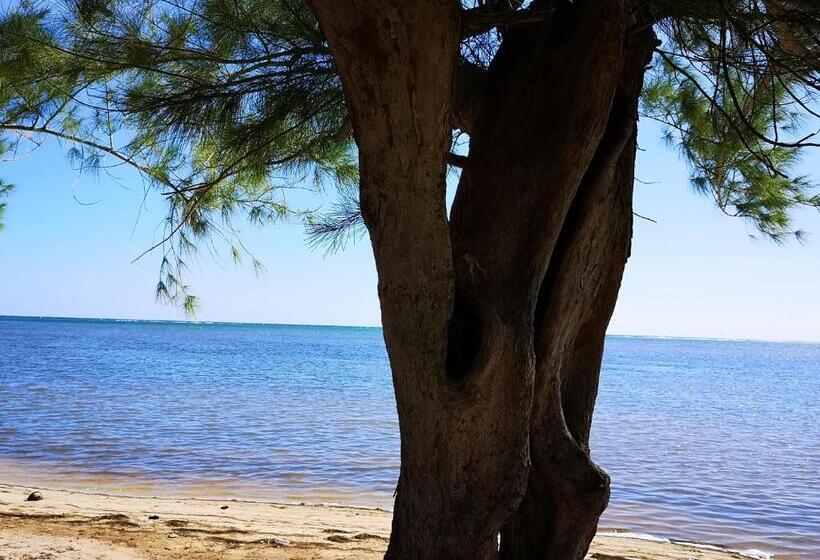 مبيت وإفطار Xcalak Caribe Lodge