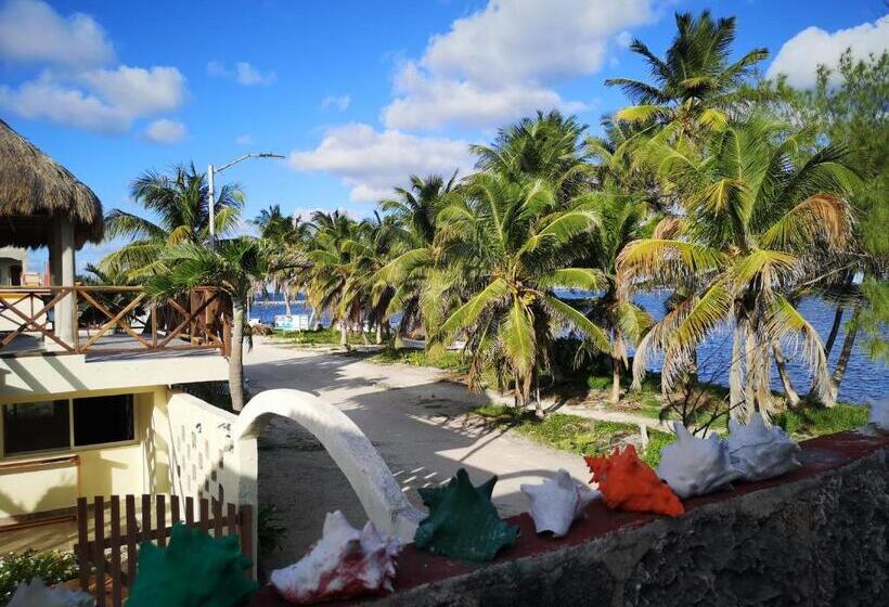 مبيت وإفطار Xcalak Caribe Lodge