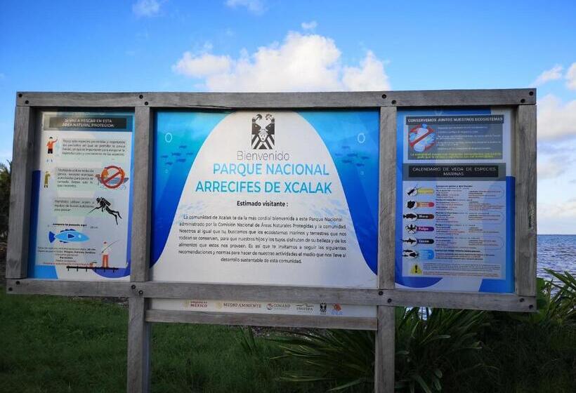 住宿加早餐  Xcalak Caribe Lodge