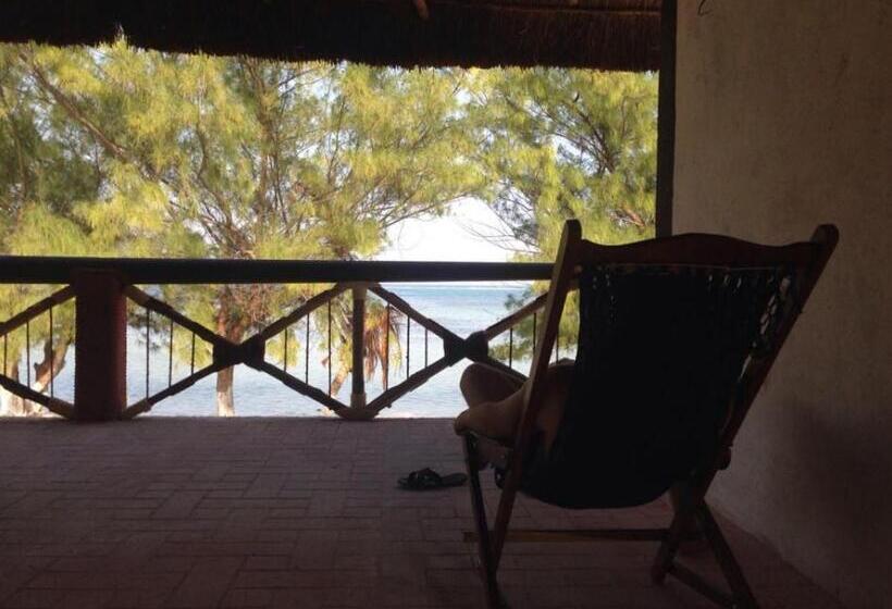 مبيت وإفطار Xcalak Caribe Lodge