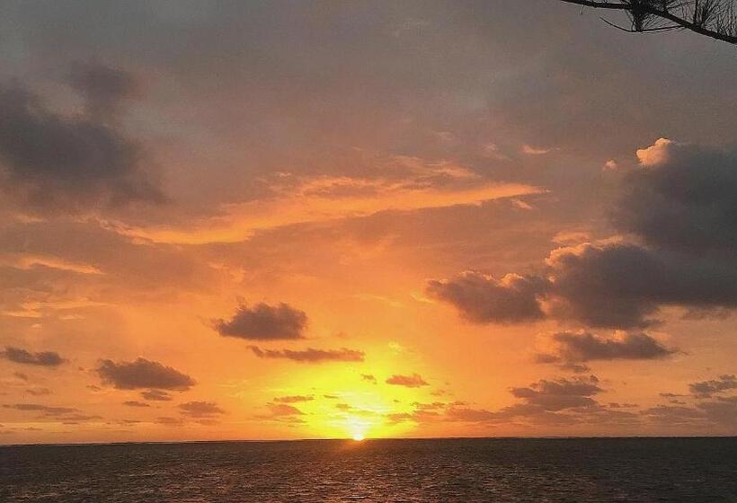 مبيت وإفطار Xcalak Caribe Lodge