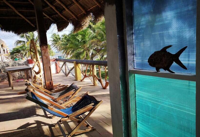 住宿加早餐  Xcalak Caribe Lodge