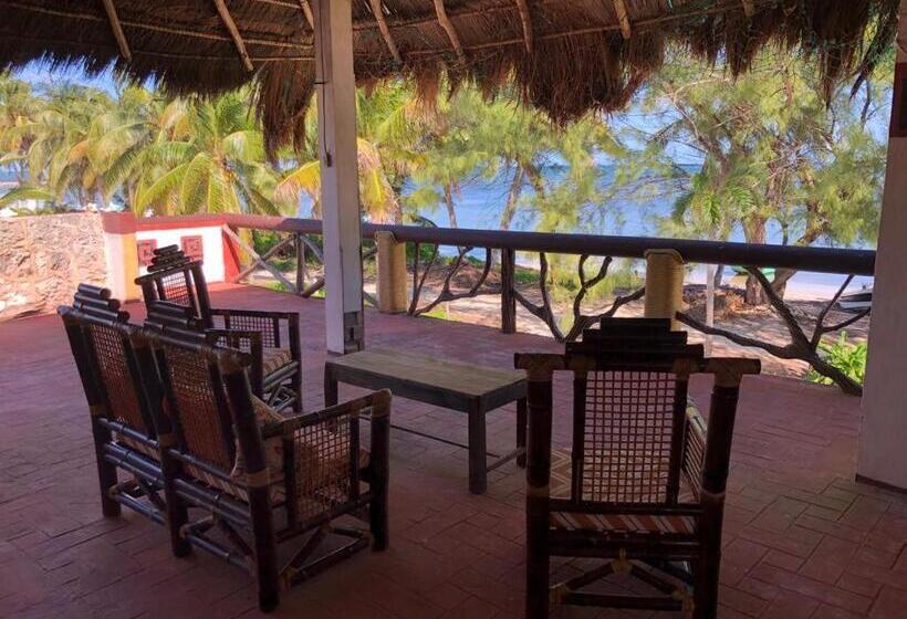 住宿加早餐  Xcalak Caribe Lodge