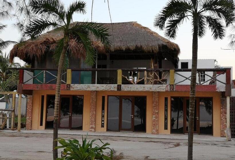 مبيت وإفطار Xcalak Caribe Lodge