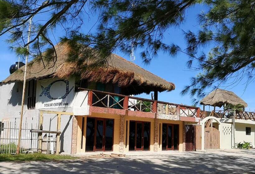 مبيت وإفطار Xcalak Caribe Lodge