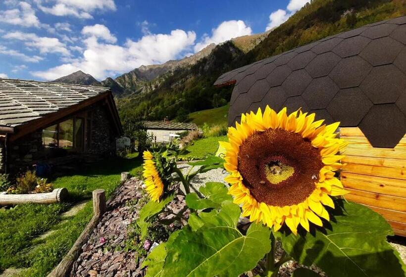 Casalpaca B&b Con Sauna A Prali