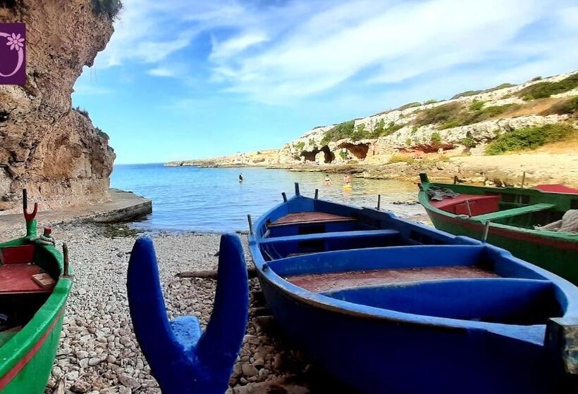 Donatella Bed And Breakfast