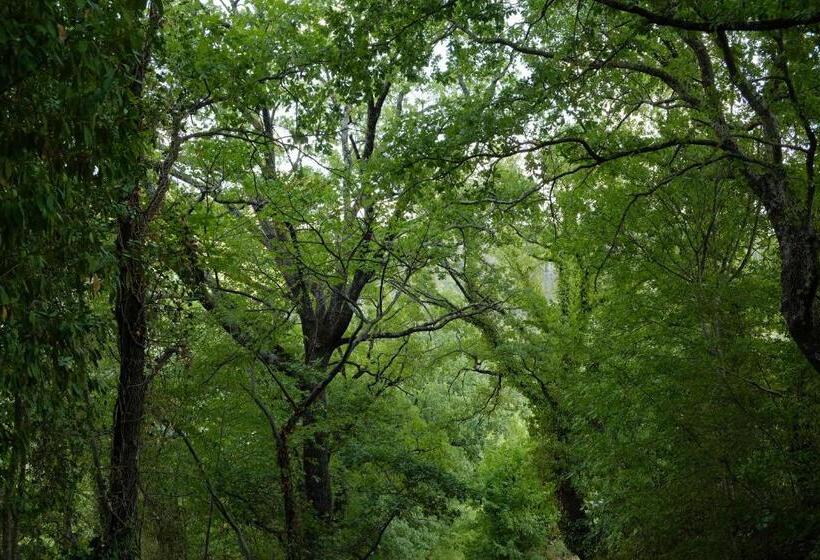 فندق Agriturismo Il Casaletto