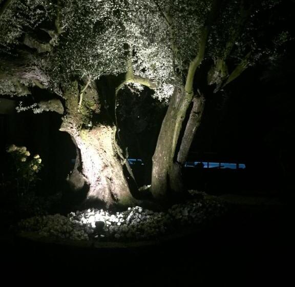 酒店 Agriturismo Il Glicine Bianco