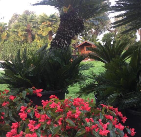 酒店 Agriturismo Il Glicine Bianco