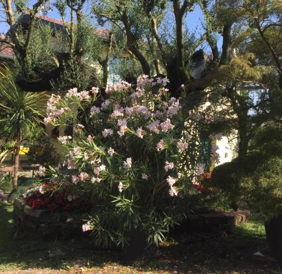 酒店 Agriturismo Il Glicine Bianco