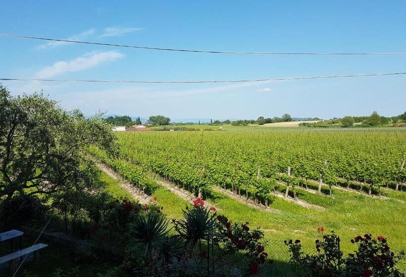 Albergo Mio Boutique Hotel   Adults Only