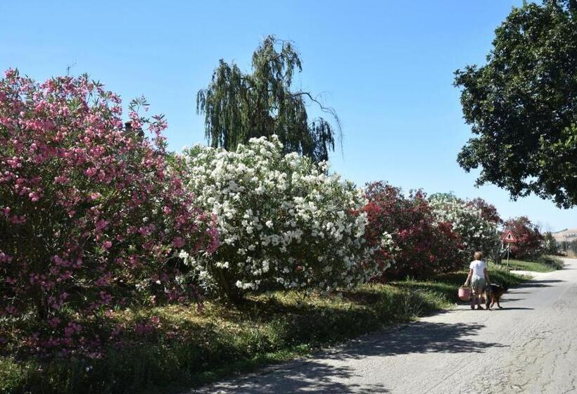 호텔 B&b La Tenuta Del Conte