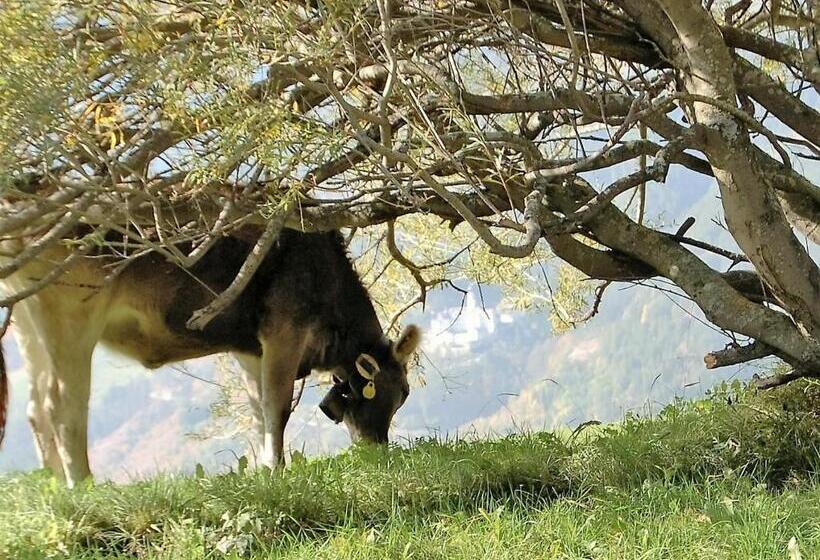 בית מלון כפרי Morigglhof