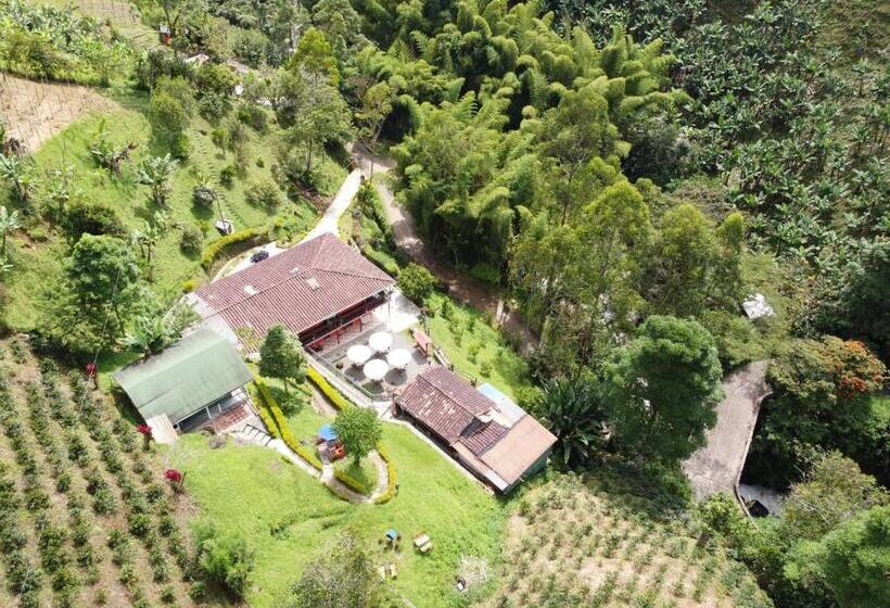 호텔 Orillas Del Pizano