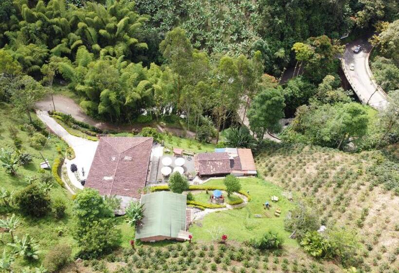 호텔 Orillas Del Pizano