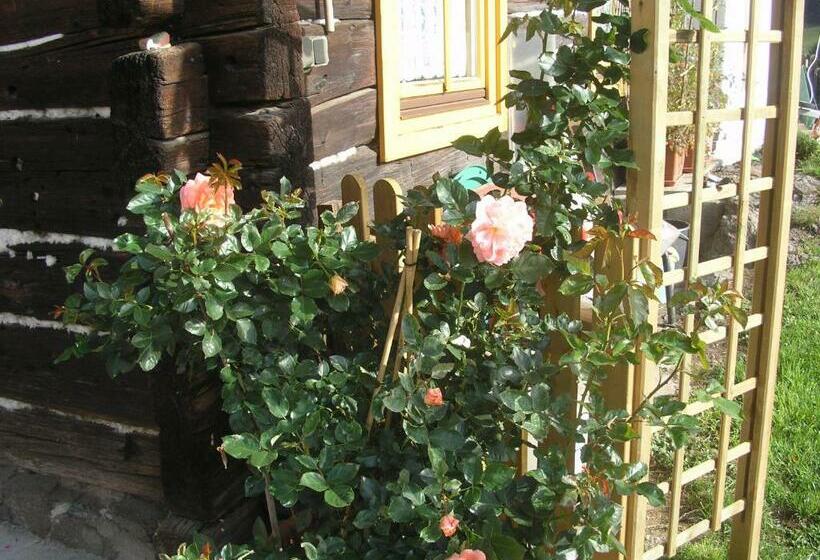 בית מלון כפרי Pension Edlinger