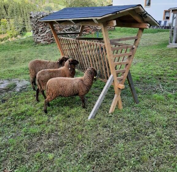 בית מלון כפרי Pension Edlinger